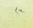 detail: Chasing a Dog